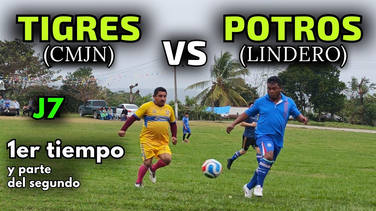Tigres vs Potros - 1er⏱️ y Pt 2do⏱️ - J7 #capibarasfc #futbol #deportes #tuxpanveracruz