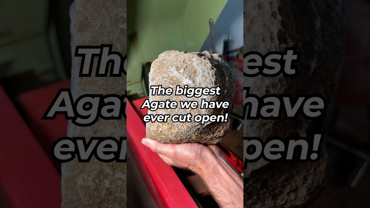 The biggest Agate we have ever cut open! 🤯