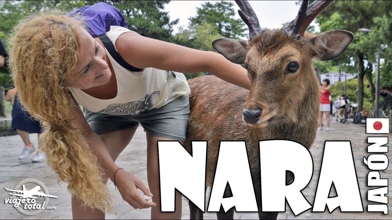 NARA: Ciervos y templos en la antigua capital de Japón
