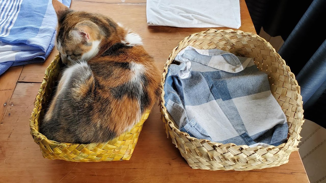 How to make a simple Cat (or other pet) basket