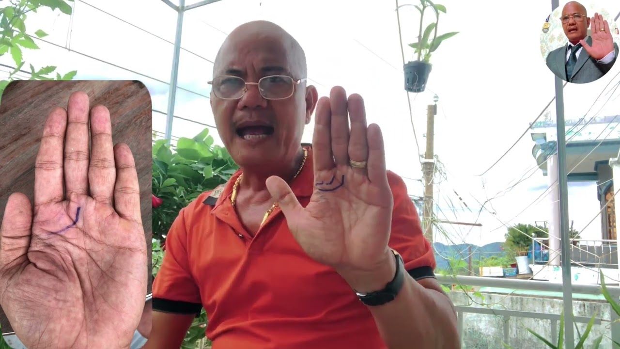 Xem chỉ Tay C&oacute; Được Một Ng&agrave;n C&acirc;y V&agrave;ng