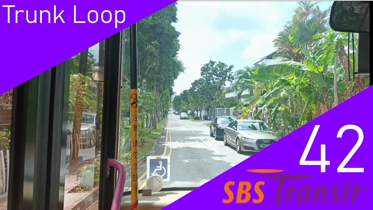 Singapore SBS Transit Trunk Bus Service 42 Route Visual