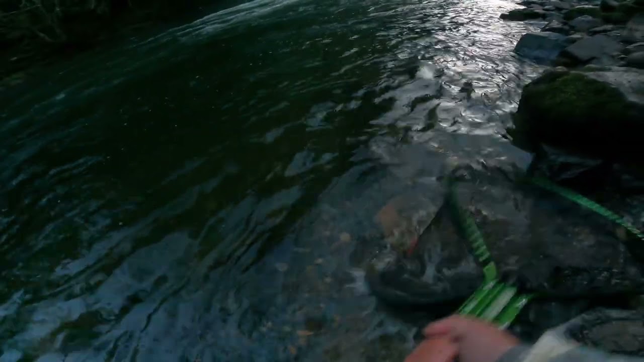 OREGON COAST STEELHEAD GRIND! 