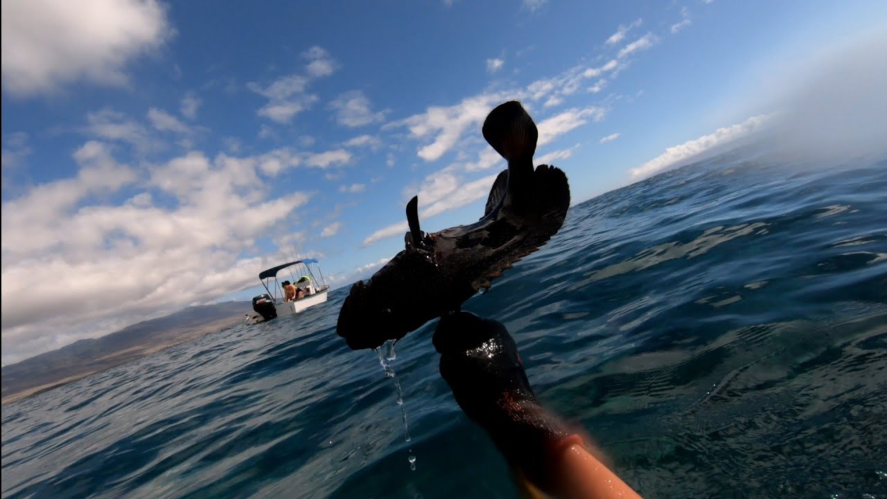 Diving for Kole on Molokai