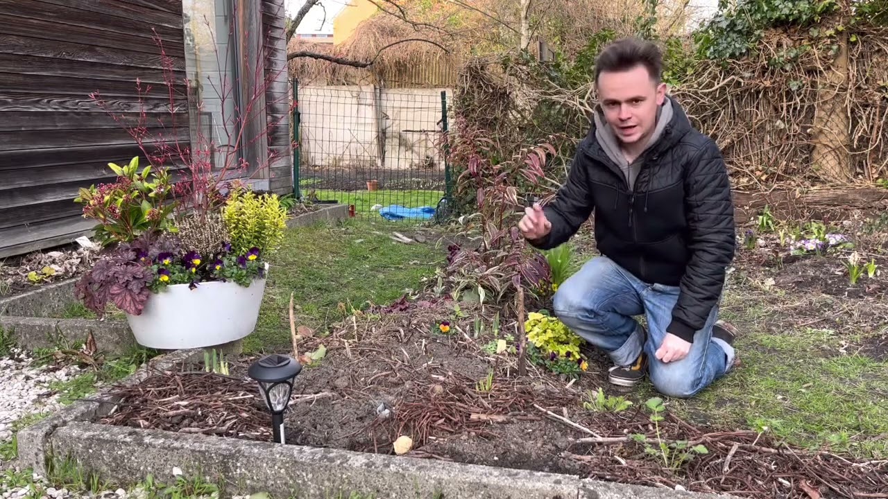 Créer un parterre: choix des plantes partie 2