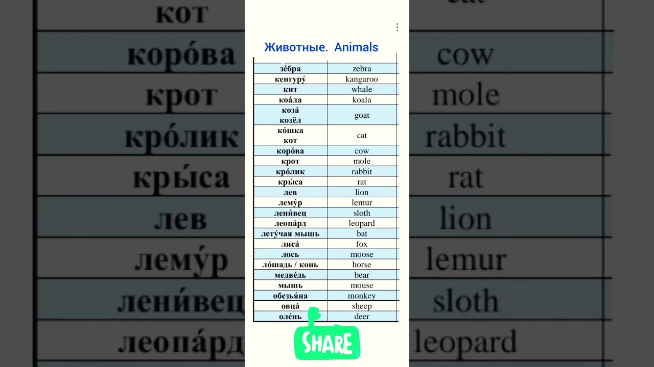 Русский 
