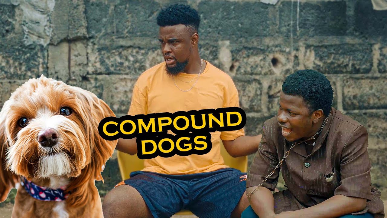 Compound Dog Part 2 | Caretakers 223