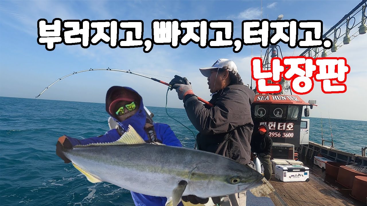 난리난 방어 부시리 지깅 낚시, 메다 삼치는 덤. 완도권