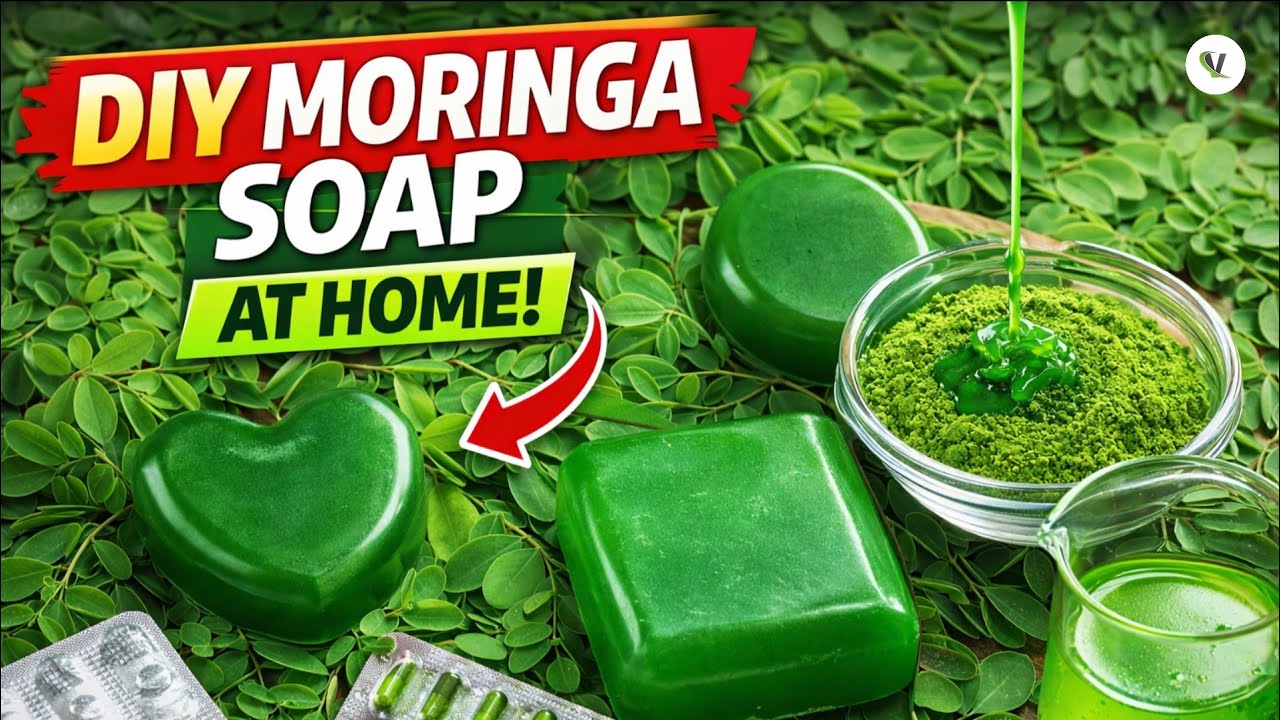 Homemade Moringa Soap || For Naturally Healthy Skin,deeply cleanses skin,leaves skin soft & smooth.