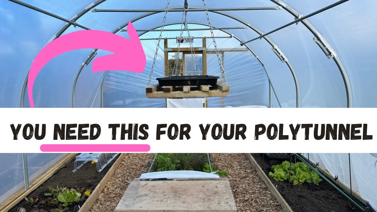 Easy Solution For Extra Seedling Space in Polytunnel