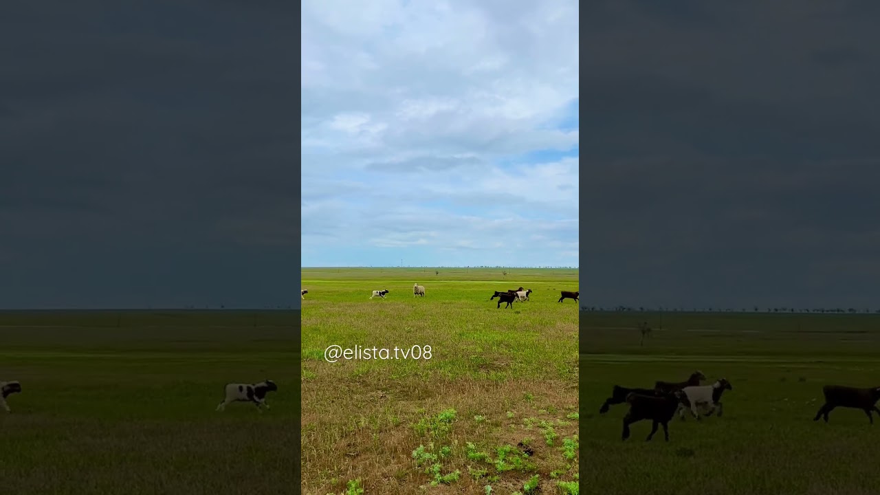 Валентина Ильцаранова❣️🌷🐑
