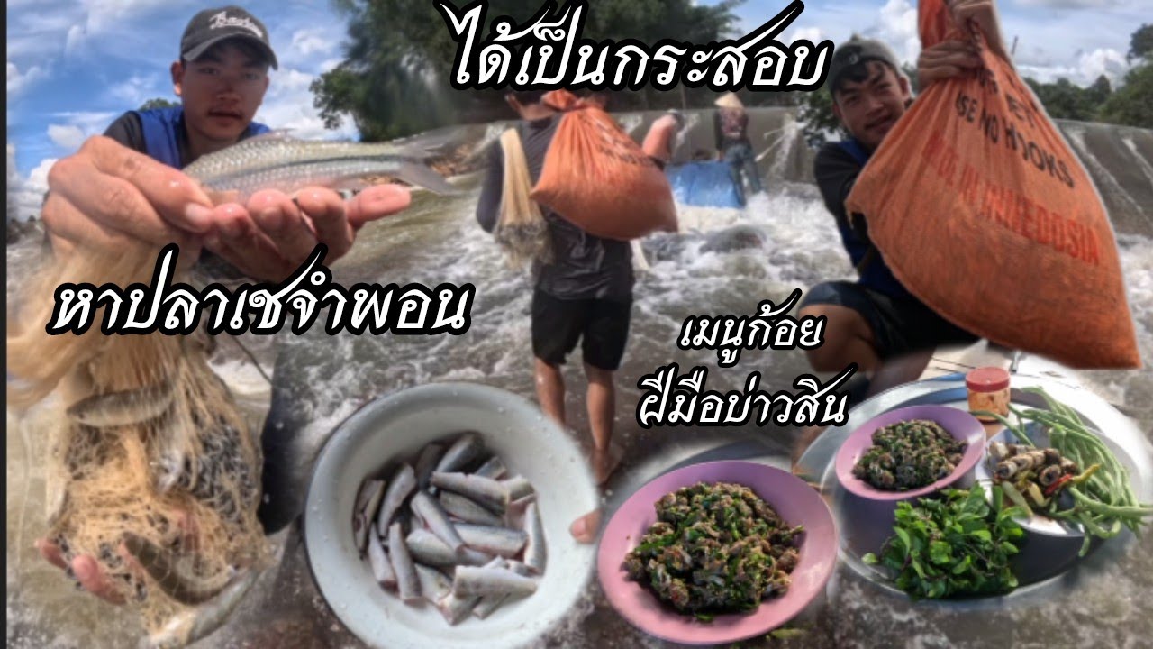 โอโห้.!!! ปลาเยอะมาก หาปลาน้ำเชจำพอนได้เป็นกระสอบ12 ตุลาคม ค.ศ. 2025