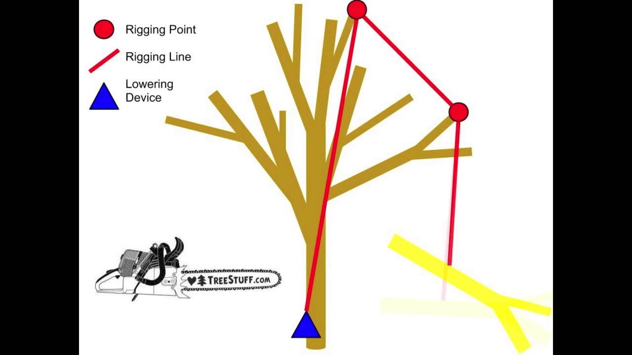 Tree Rigging: Angles and Redirects : TreeStuff.com Tech Tip