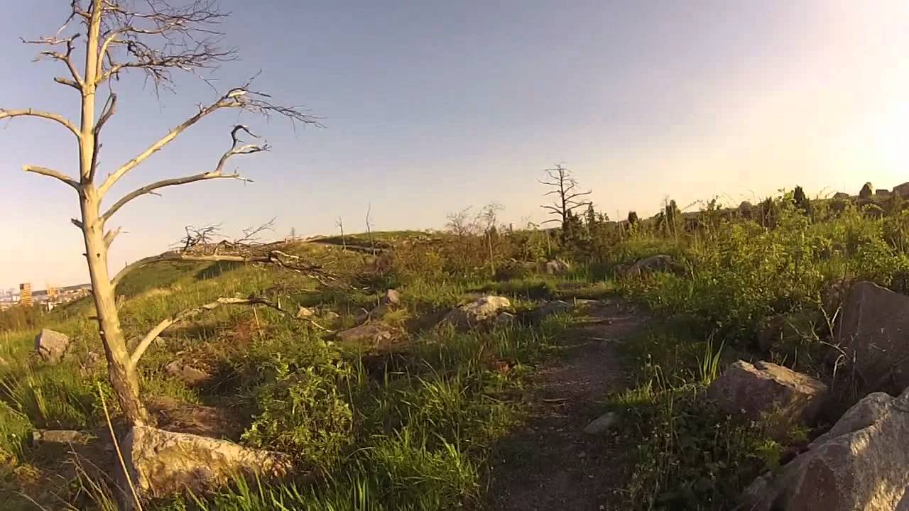 Trails in Vuosaaren huippu