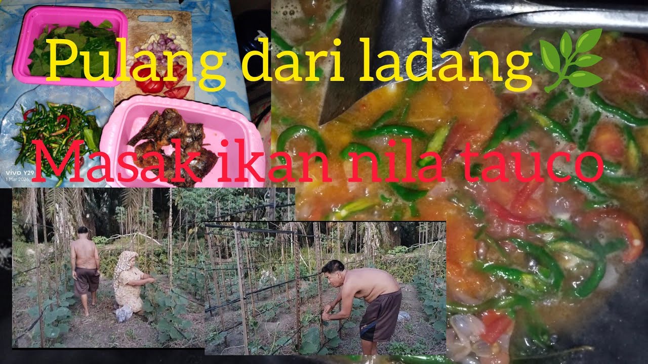 PULANG DARI LADANG 🌿CAPEK ‼️SAMPAI RUMAH LANGSUNG MASAK 🫕