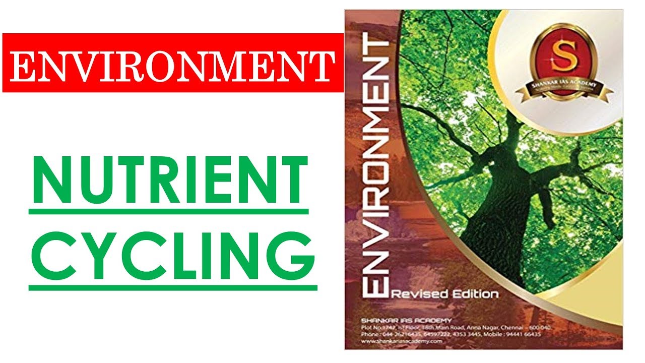 TTL - ENV. -5 - NUTRIENT CYCLING - GS Batch 2019 || UPSC || IAS || Civil Services