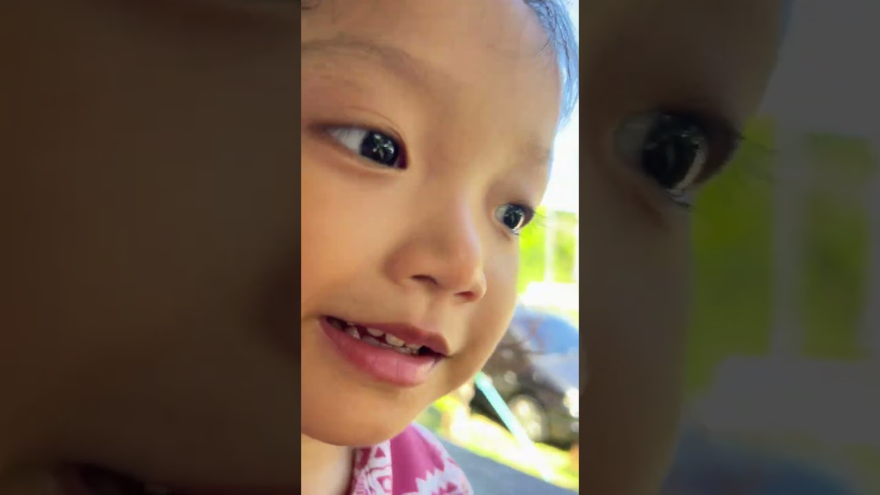 พี่แมวสี่ขวบครับผม #cat #pet #travel #funny #shorts #cute 