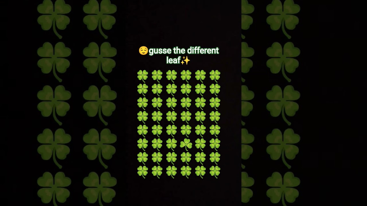 🍀🍀🍀🍀diffrent leaf identify 
