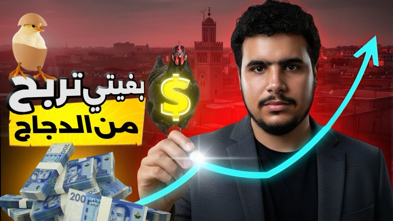 بغيتي تربح من الدجاج؟🔥 هادي هي أحسن ستراتيجية تخليك تربح فعلاً من مشروعك