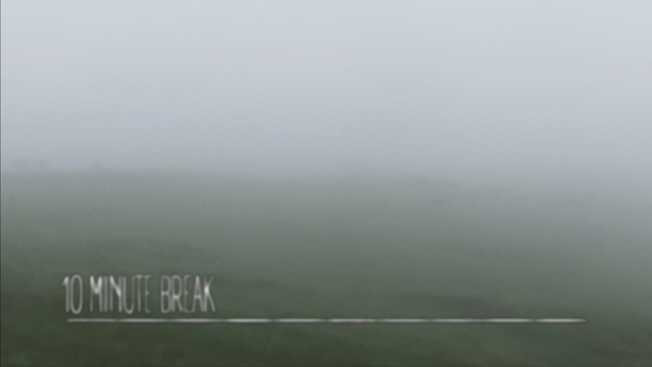Deer in the mist.