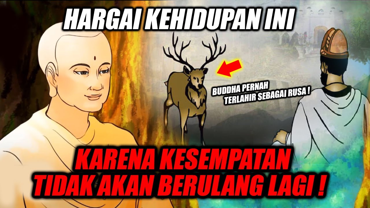 CERAMAH BUDDHA‼️HANYA MANUSIA YANG MEMPUNYAI KESEMPATAN INI❗Kebenaran kehidupan