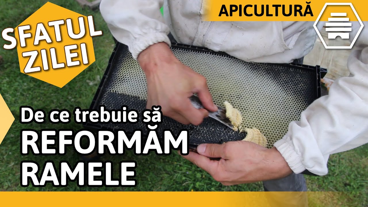 De ce trebuie să REFORMĂM RAMELE [Sfatul zilei]
