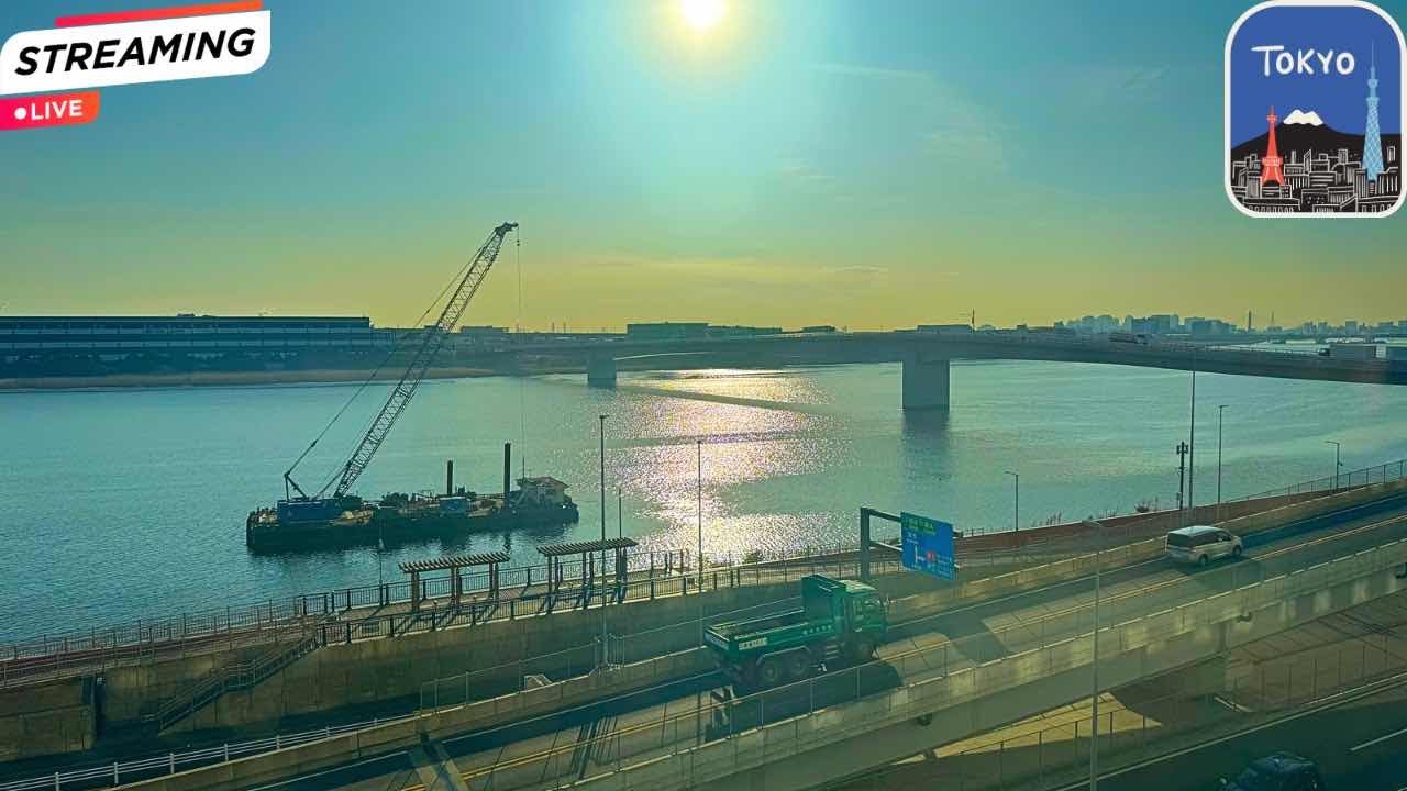 🔴 LIVE: Tokyo Haneda Views - River Toma - Peak Productivity