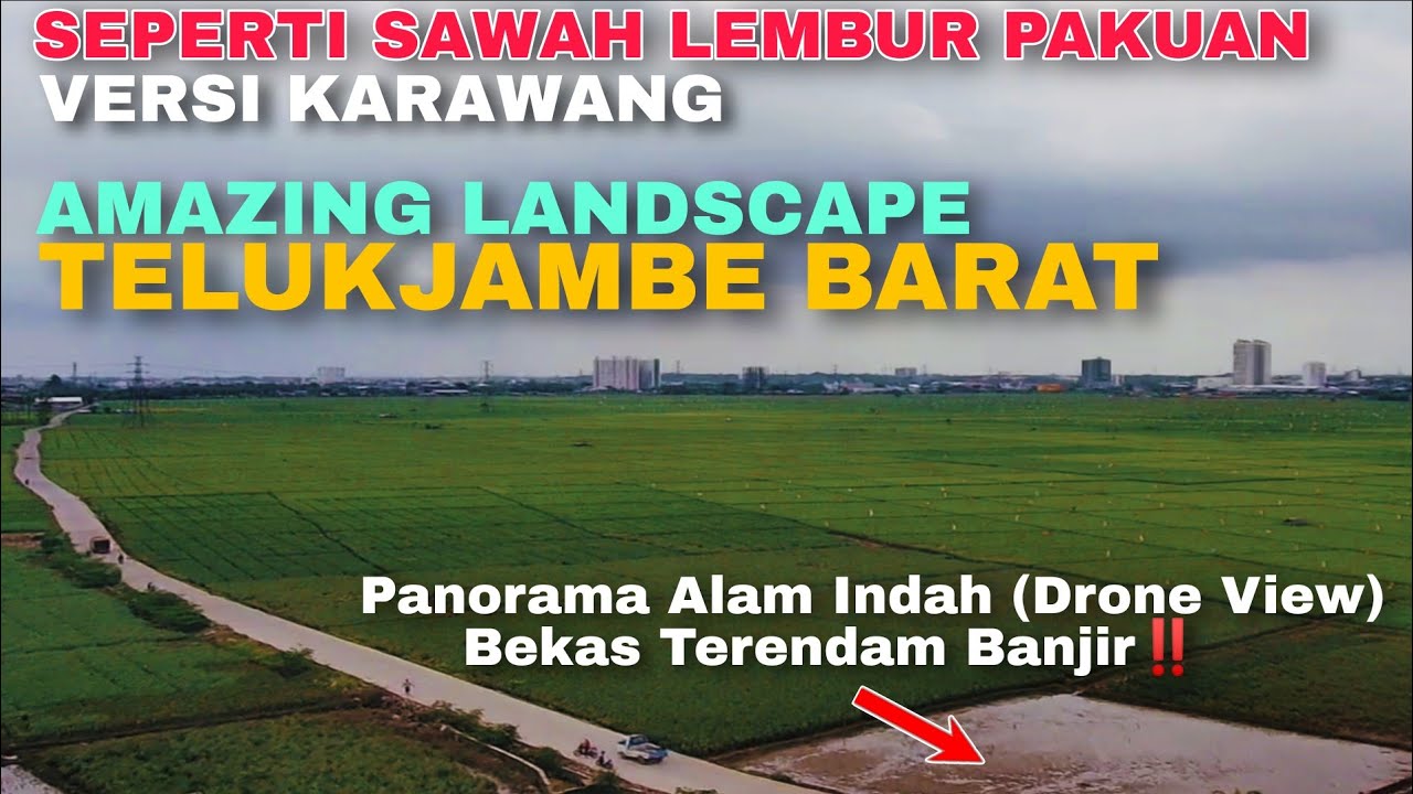 Indahnya Sawah Lembur Pakuan Versi Karawang Meski dilanda Banjir‼️ Panorama Alam Telukjambe Barat