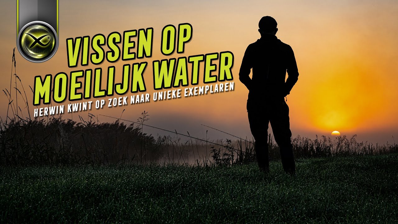 Herwin Kwint: Vissen op moeilijk water