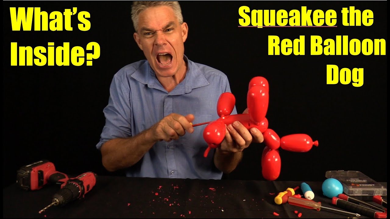 What's inside Squeakee the red balloon dog toy