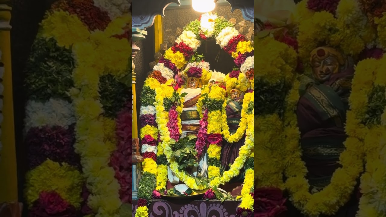 தை அமாவாசை திருப்பாதிரிப்புலியூர் ஶ்ரீ பாடலீஸ்வரர் திருக்கோயில் மந்திர புஷ்பம் ஆசீர்வாதம் மந்திரம் 