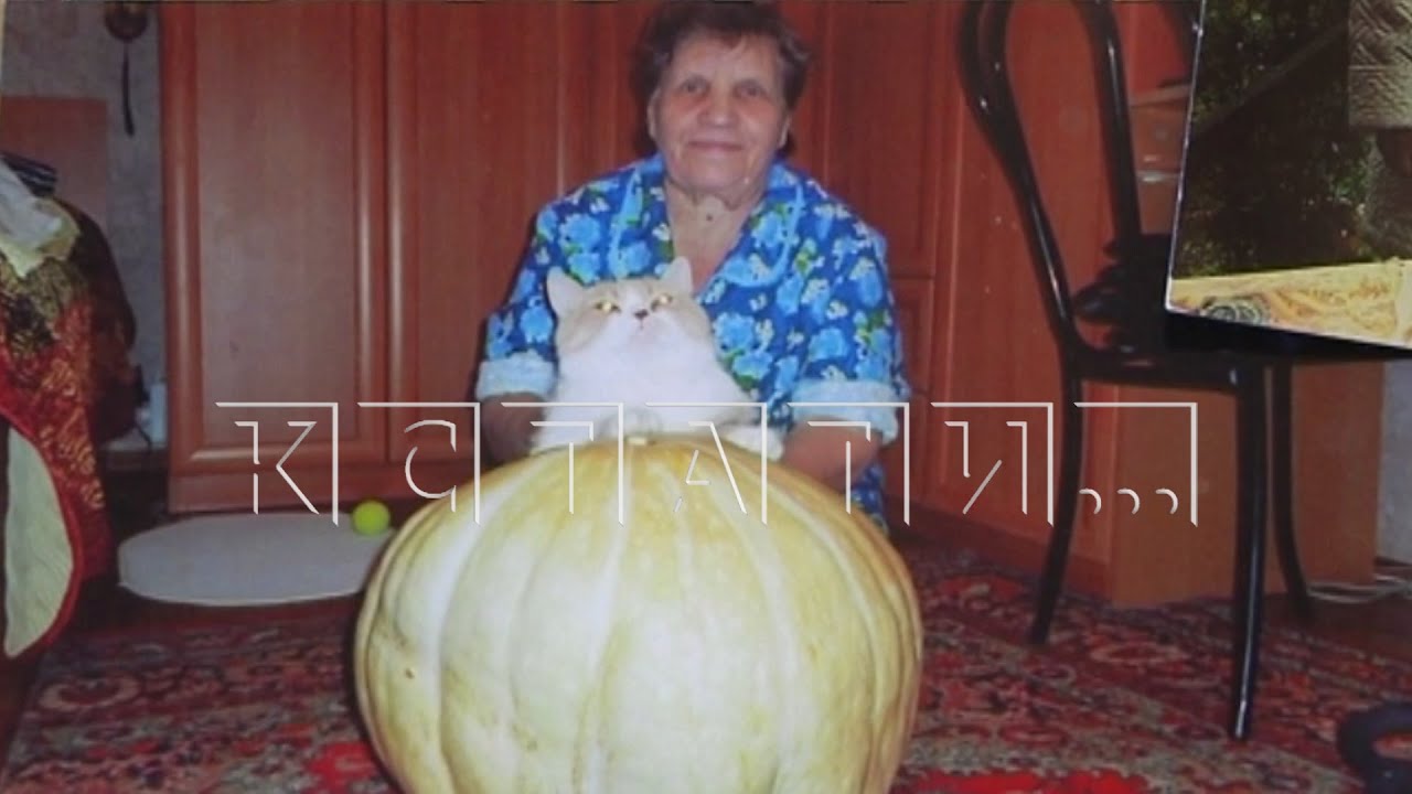 87-летняя пациентка покончила с собой, после того как ее поместили в изолятор больницы