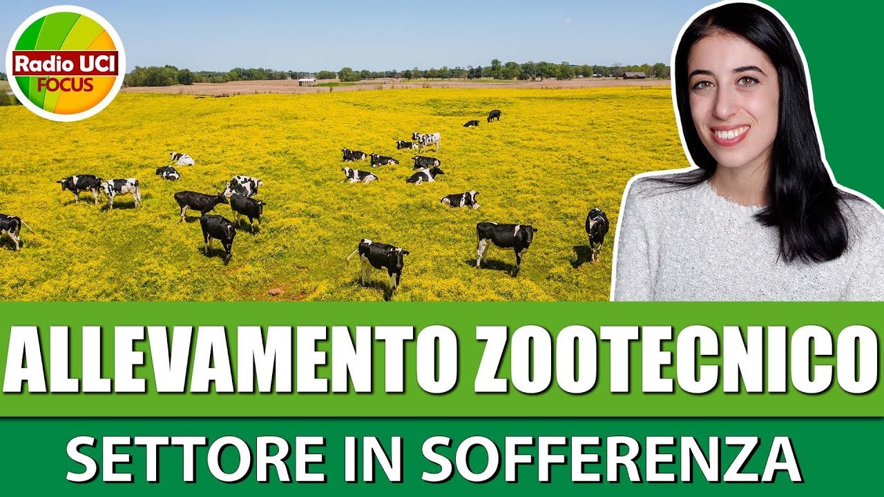 ALLEVAMENTO ZOOTECNICO: Settore in sofferenza