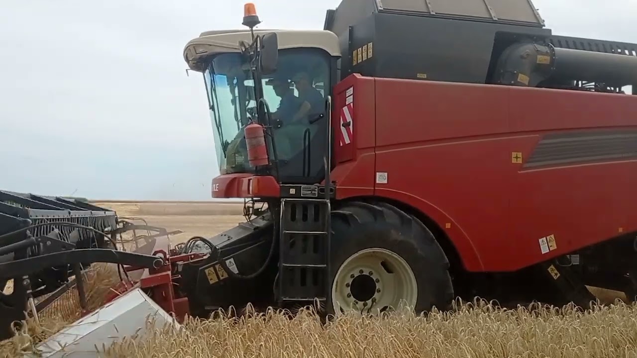 Тайра Супер Еліта вражає!