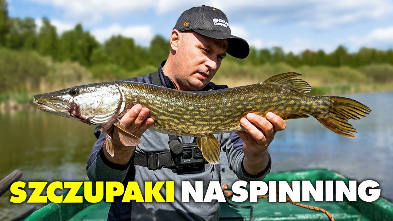 JAK ŁOWIĆ SZCZUPAKI z PŁYTKIEJ WODY ?