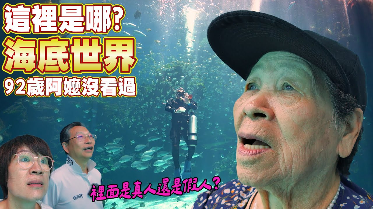 92歲阿嬤第一次看到巨型水族館目瞪口呆｜桃園青埔Xpark初體驗 Ft.阿環小姐 [送你營養吃]