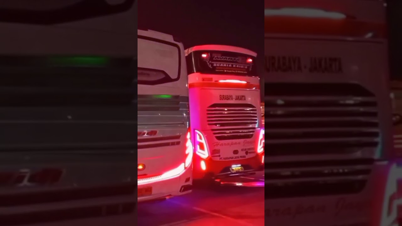 bus tividi T 005