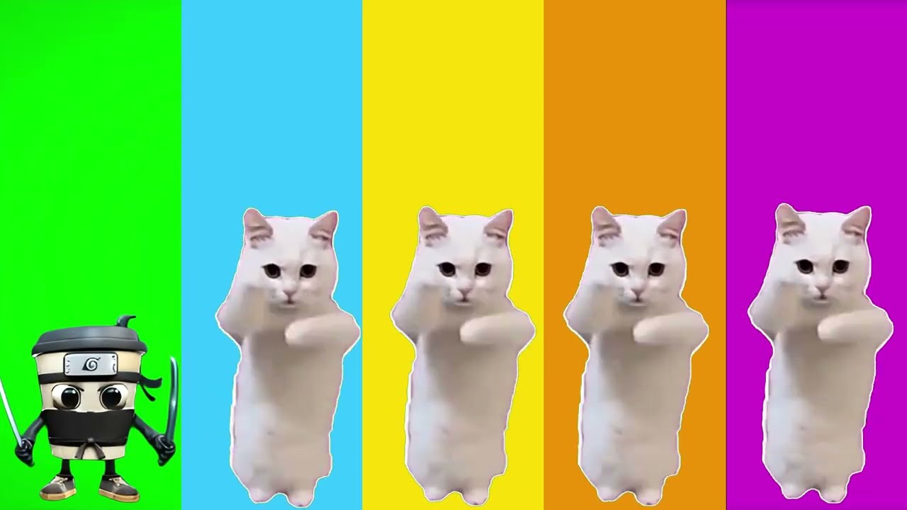 Wrong eyes👀BRAINROT EXTINCTION#italianbrainrot #funny #ai