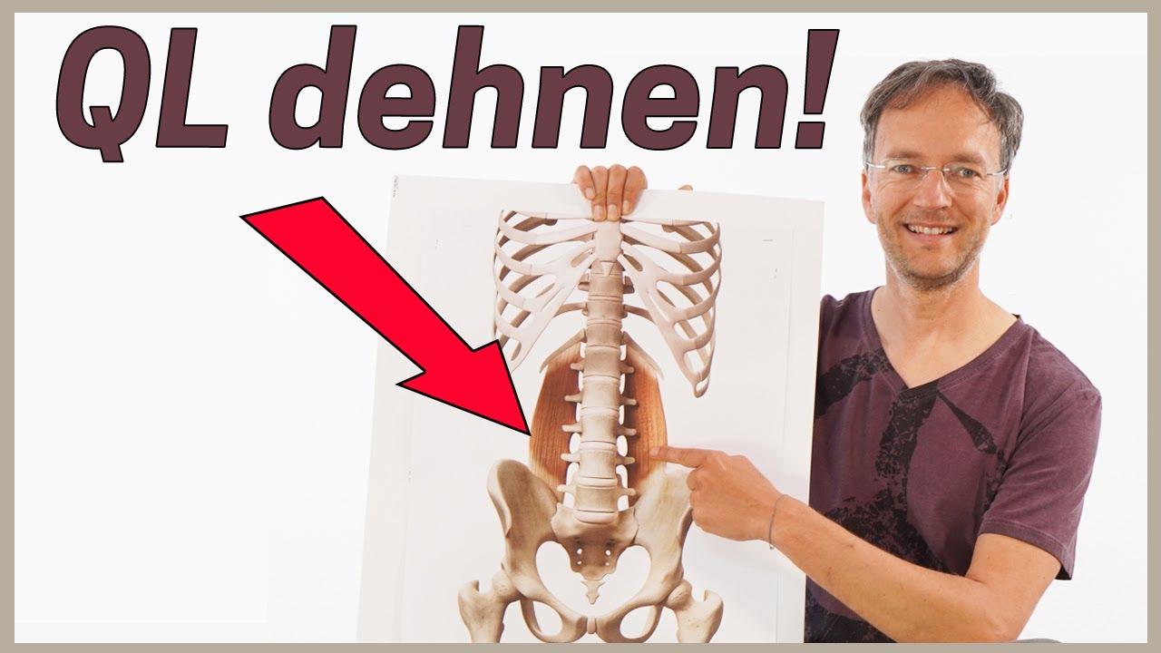 Schmerzen im unteren Rücken vermeiden | Quadratus lumborum (QL) dehnen