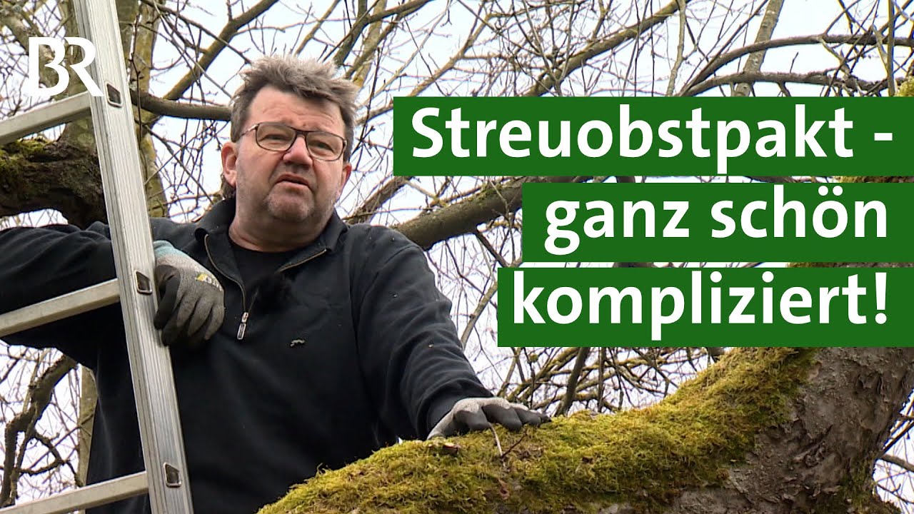 Kritik am Streuobstpakt: Neue Bäume und Artenschutz - aber auch viel Bürokratie | Unser Land | BR