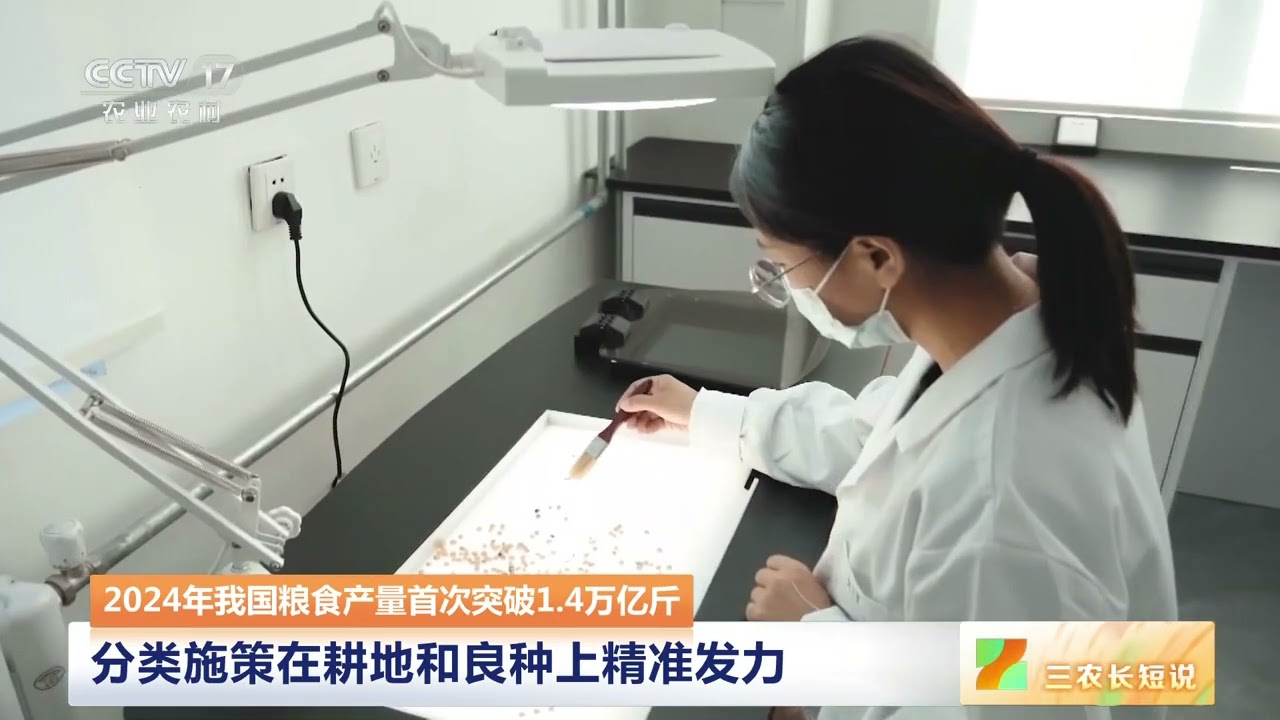 [三农长短说]2024年我国粮食产量首次突破1.4万亿斤 探寻大国粮仓背后的增产密码 | 农业致富经 Agriculture And Farming