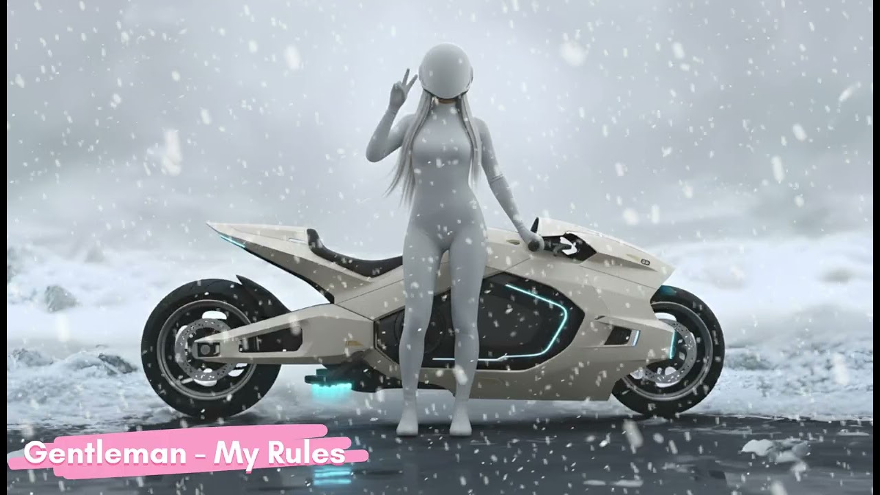 Gentleman - My Rules (Original Mix)