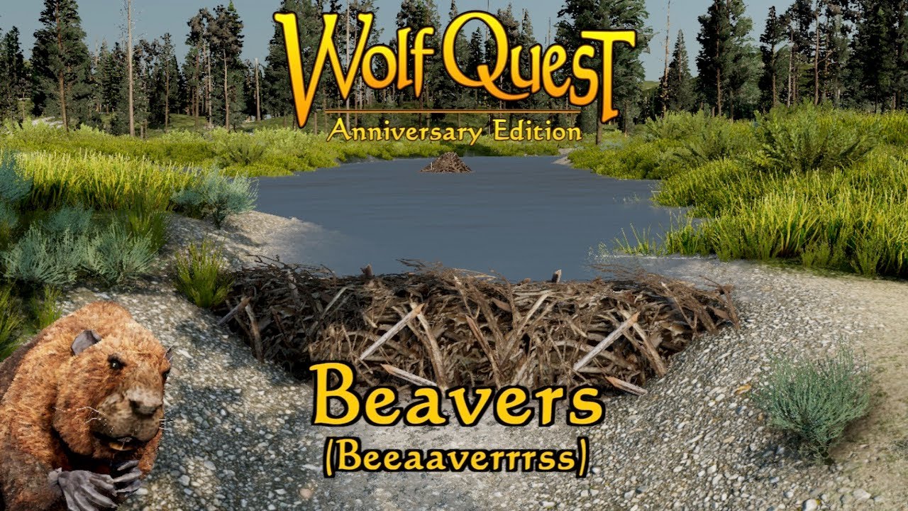 Beavers (Beeaaverrrss)