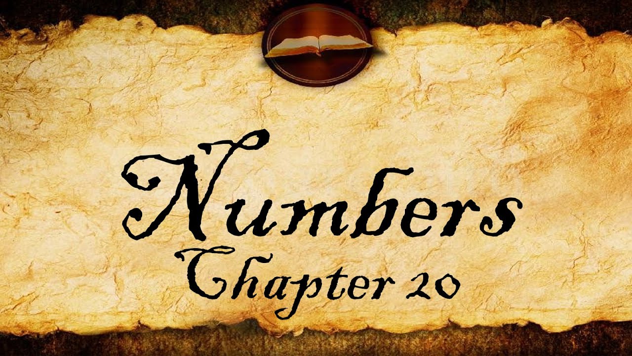 Numbers Chapter 20 | KJV Audio (With Text)