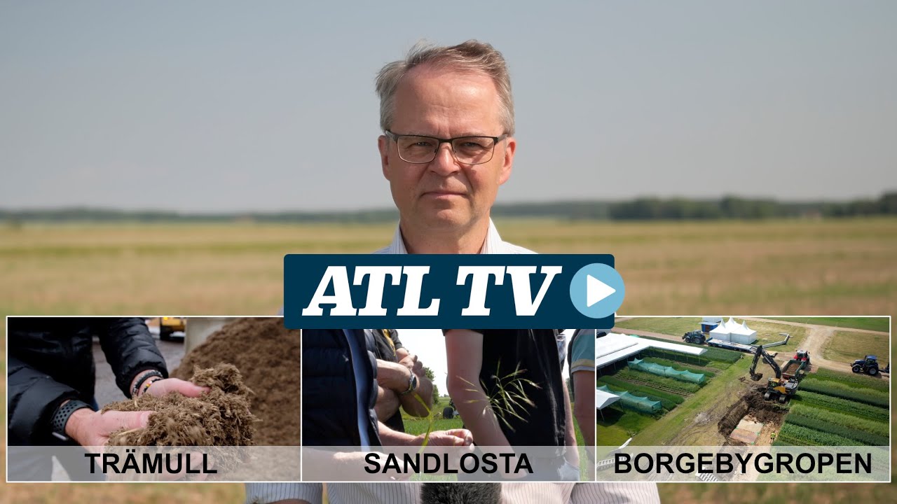 ATL TV: Sandlosta, trämull och Borgebygropen