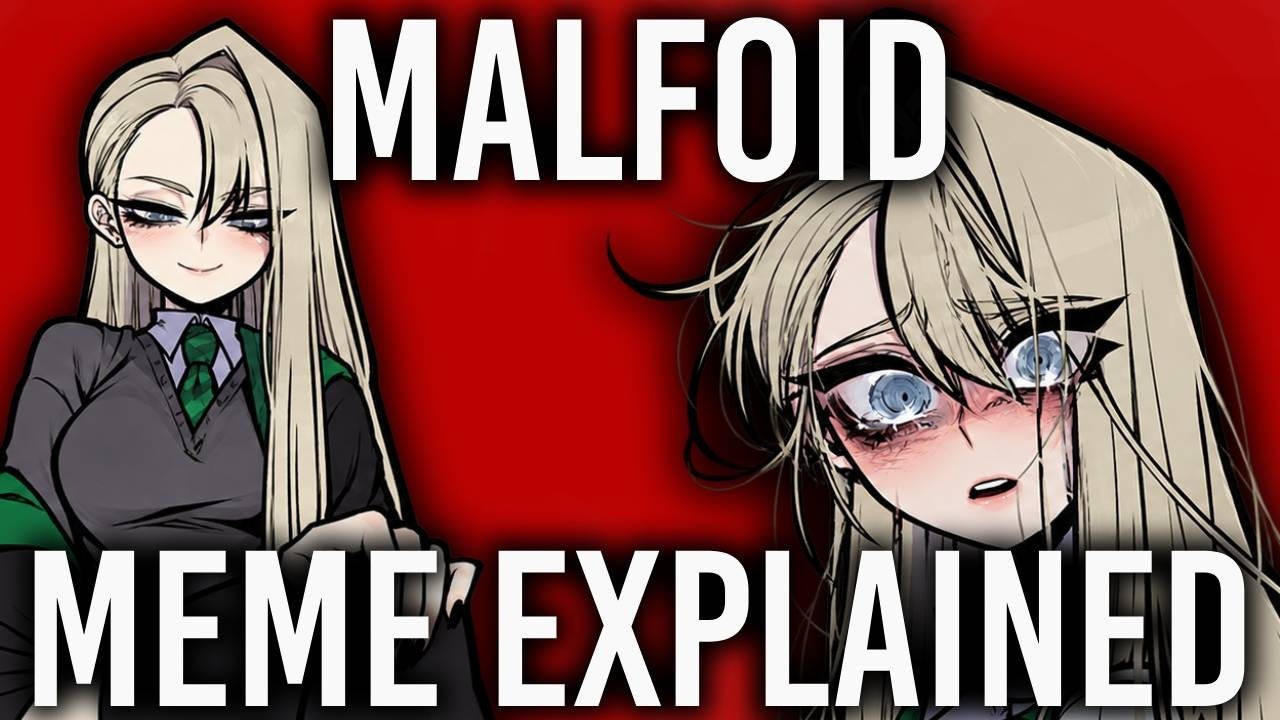 Draco Malfoid Meme EXPLAINED!