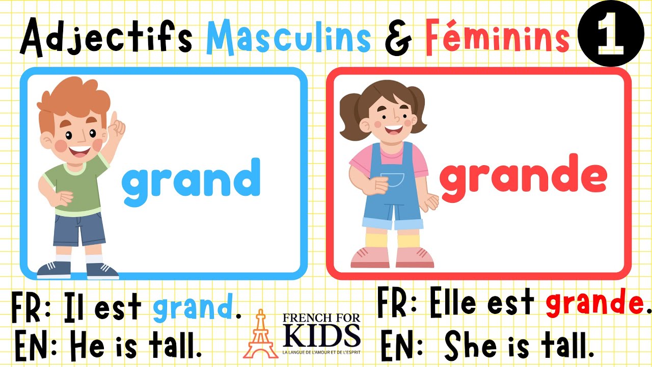 part 1:Master Masculine Feminine French Adjectives Fast Essential Beginner French Lesson