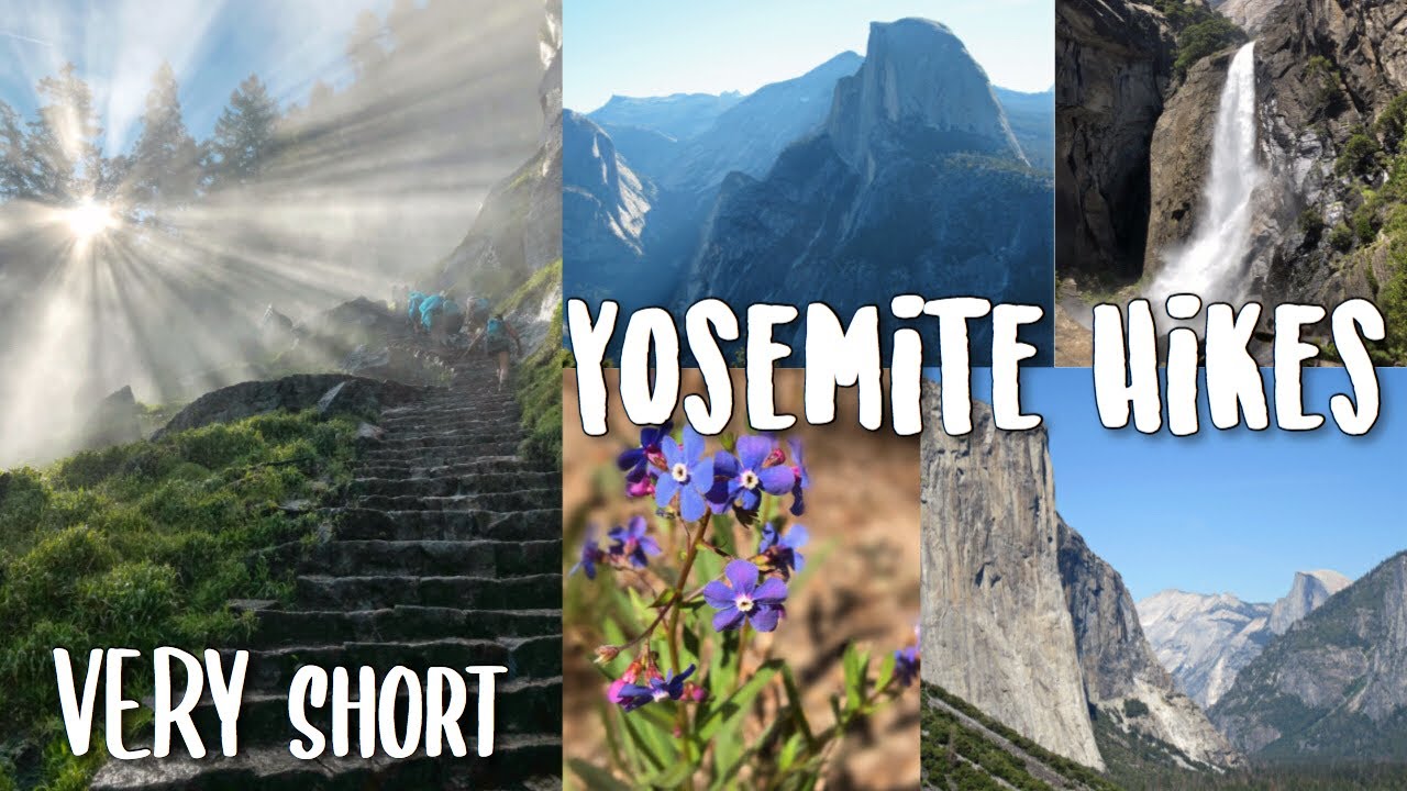 7 EASY Hikes in Yosemite (good for families) 🏕
