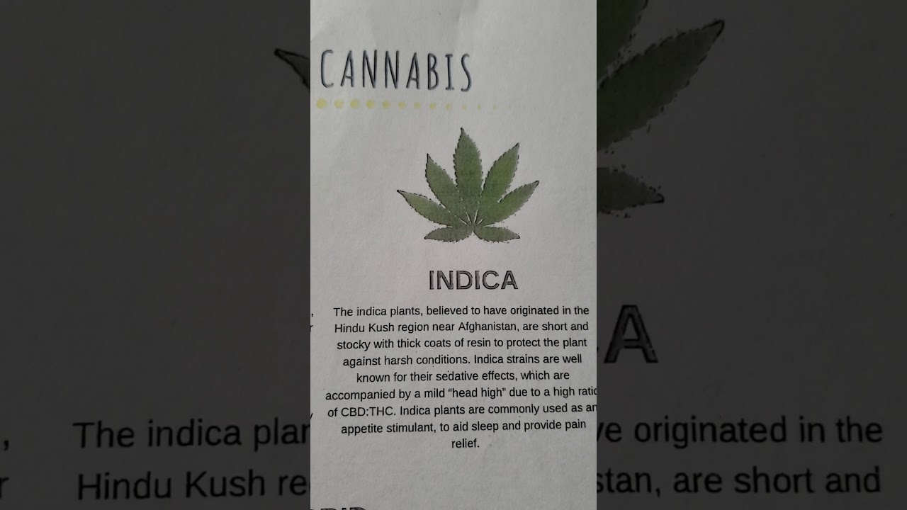 Sativa or Indica or Hybrid?