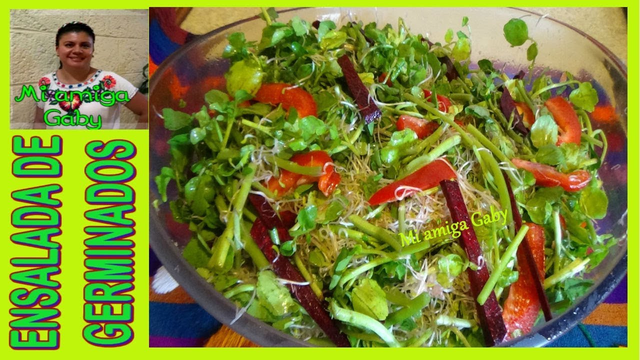 ¿Cómo hacer Ensalada de germen de alfalfa? Receta saludable/Mi amiga Gaby
